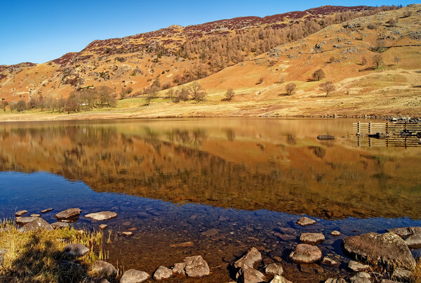 Blea Tarn Lake District Cumbria  Picture Board by Darren Galpin