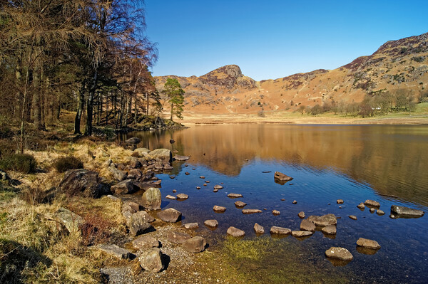 Blea Tarn Lake District Cumbria Picture Board by Darren Galpin