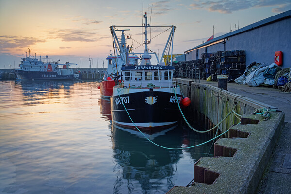 Scarborough Harbour Sunrise, North Yorkshire Picture Board by Darren Galpin
