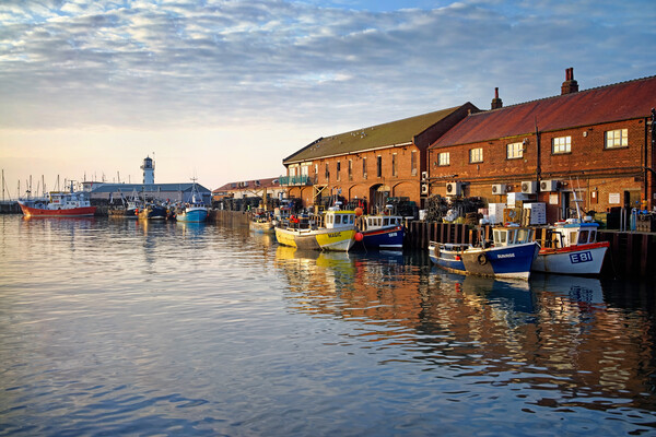 Scarborough Harbour and Lighthouse,North Yorkshire Picture Board by Darren Galpin