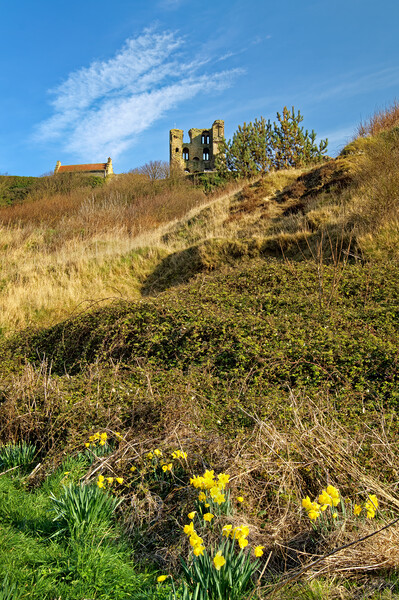 Scarborough Castle and Daffodils Picture Board by Darren Galpin