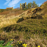 Buy canvas prints of Scarborough Castle and Daffodils by Darren Galpin
