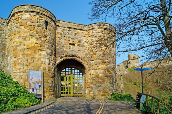 Scarborough Castle Picture Board by Darren Galpin