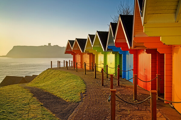 Scarborough Beach Huts,  North Yorkshire  Picture Board by Darren Galpin