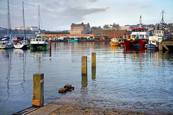 Scarborough Harbour, North Yorkshire Picture Board by Darren Galpin