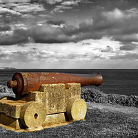 Buy canvas prints of Old Cannon at Tankerton Slopes, Kent by Darren Galpin