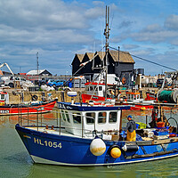 Buy canvas prints of Catch of the Day at Whitstable Harbour by Darren Galpin