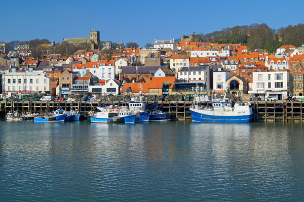 Scarborough Harbour and Old Town Picture Board by Darren Galpin