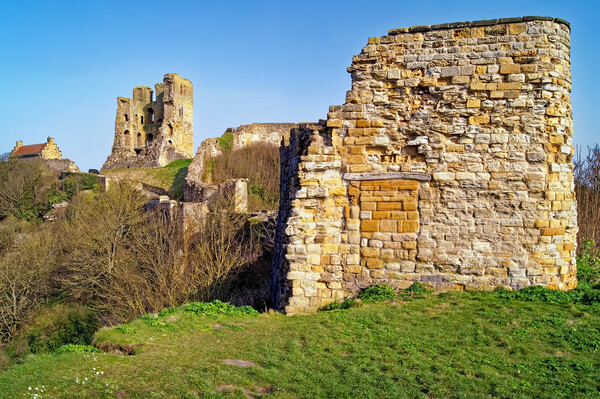 Scarborough Castle Picture Board by Darren Galpin