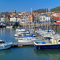 Buy canvas prints of Scarborough Harbour and Old Town by Darren Galpin