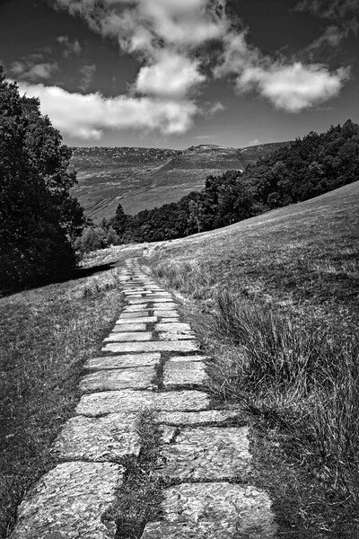   Path to Kinder Scout   Picture Board by Darren Galpin
