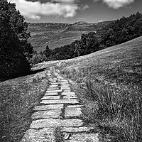 Buy canvas prints of   Path to Kinder Scout   by Darren Galpin