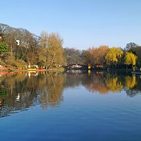 Buy canvas prints of Peasholm Park Reflections  by Darren Galpin