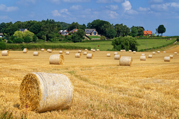 Staincross Hay Bales Picture Board by Darren Galpin