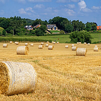 Buy canvas prints of Staincross Hay Bales by Darren Galpin