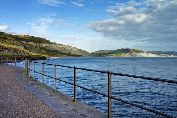 Coast Path and Jurassic Coast, Lyme Regis  Picture Board by Darren Galpin