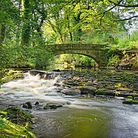 Buy canvas prints of Rivelin Packhorse Bridge & Weir  by Darren Galpin