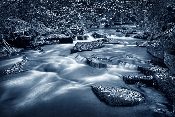 River Rivelin Picture Board by Darren Galpin