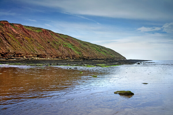 Filey Brigg and Beach, North Yorkshire Picture Board by Darren Galpin
