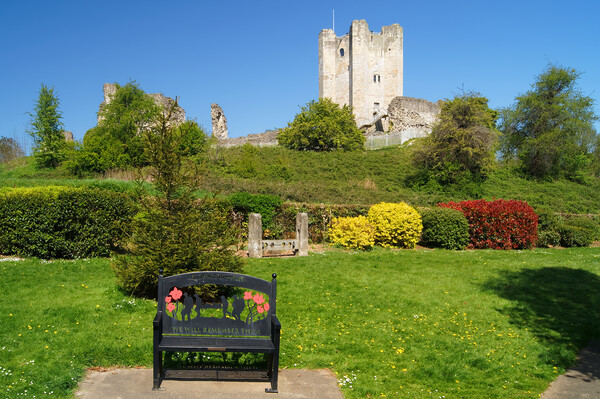 Conisbrough Castle and Coronation Park Picture Board by Darren Galpin