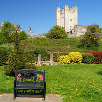 Buy canvas prints of Conisbrough Castle and Coronation Park by Darren Galpin