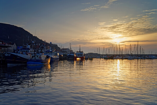 Scarborough Harbour Sunrise Picture Board by Darren Galpin