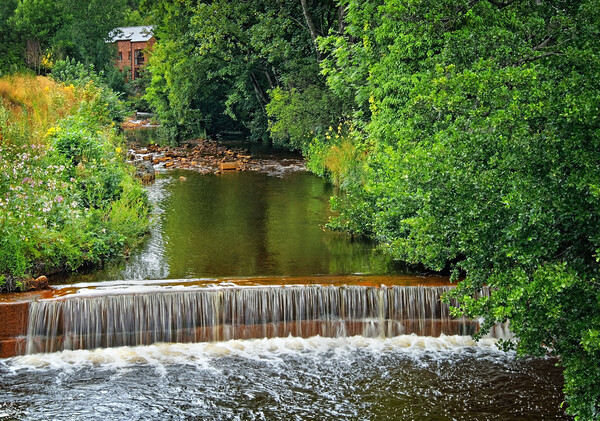 River Loxley Falls at Malin Bridge Picture Board by Darren Galpin