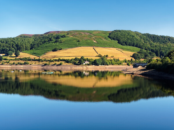 Ladybower Reflections Picture Board by Darren Galpin