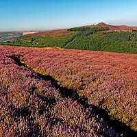 Buy canvas prints of Win Hill from Bamford Edge, Derbyshire, Peak District by Darren Galpin
