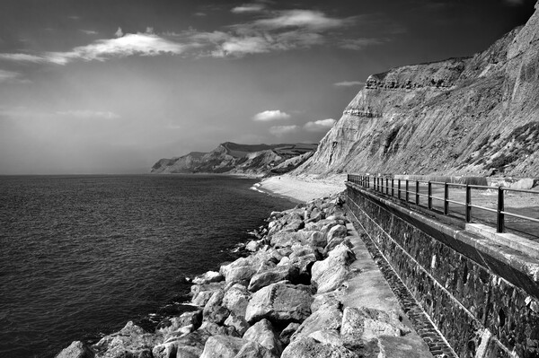 Jurassic Coast from West Bay Picture Board by Darren Galpin