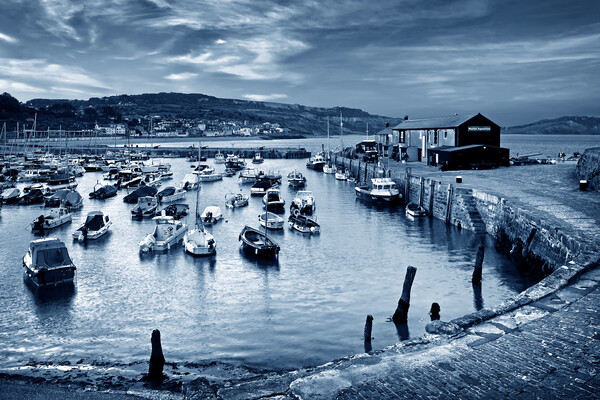 Lyme Regis Harbour   Picture Board by Darren Galpin