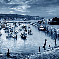 Buy canvas prints of Lyme Regis Harbour   by Darren Galpin