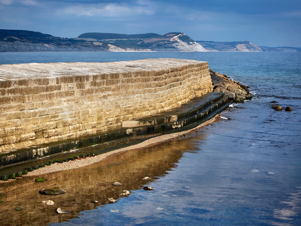 The Cobb, Lyme Regis  Picture Board by Darren Galpin