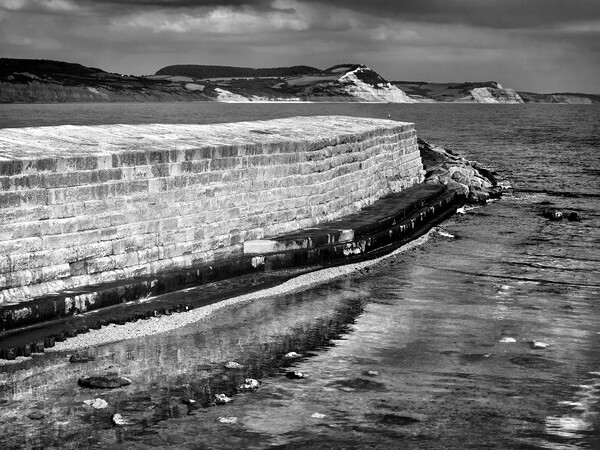 The Cobb, Lyme Regis  Picture Board by Darren Galpin