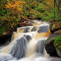 Buy canvas prints of Wyming Brook in Autumn by Darren Galpin