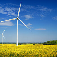 Buy canvas prints of Marr Wind Farm and Rapeseed by Darren Galpin