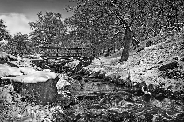 Burbage Brook in Winter  Picture Board by Darren Galpin