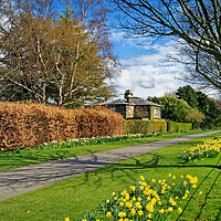 Buy canvas prints of Church Drive and Friars House, Wentworth. by Darren Galpin