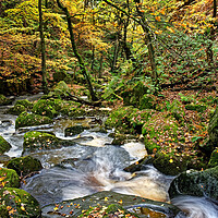 Buy canvas prints of Padley Gorge in Autumn by Darren Galpin