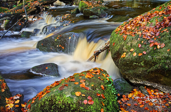 Padley Gorge Waterfall Picture Board by Darren Galpin