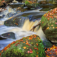 Buy canvas prints of Padley Gorge Waterfall by Darren Galpin