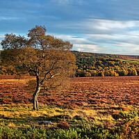 Buy canvas prints of Lawrence Field in Autumn by Darren Galpin