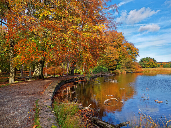 Longshaw Pond     Picture Board by Darren Galpin