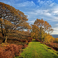 Buy canvas prints of Footpath to Bole Hill Quarry by Darren Galpin