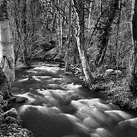 Buy canvas prints of Woodland and Waterfalls at Rivelin by Darren Galpin