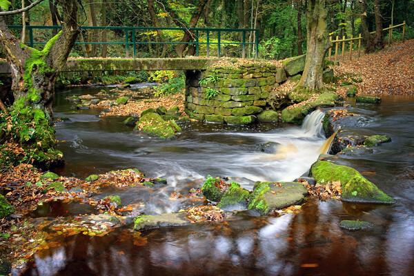 Hind Wheel Waterfalls and Footbridge  Picture Board by Darren Galpin