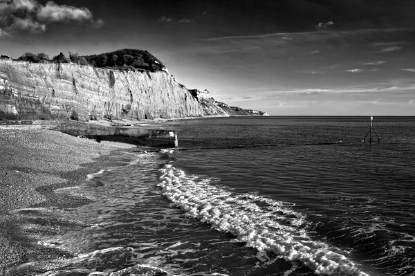 Sidmouth Coastline   Picture Board by Darren Galpin