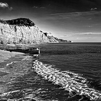 Buy canvas prints of Sidmouth Coastline   by Darren Galpin