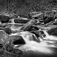 Buy canvas prints of Padley Gorge by Darren Galpin