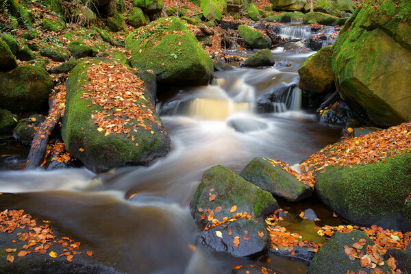 Padley Gorge Waterfall  Picture Board by Darren Galpin